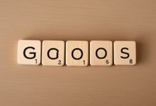 go grammar class 8 solutions pdf​​
